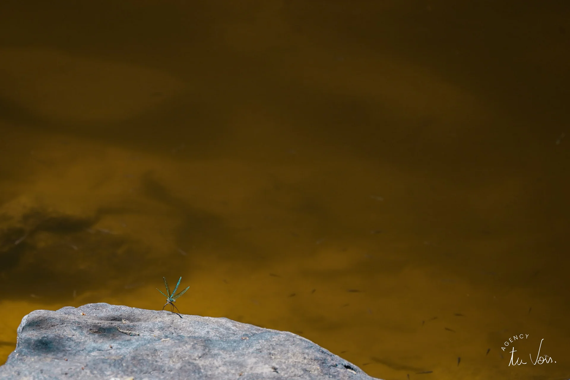 rivière La Voueize - Chambon-sur-Voueize - Creuse